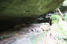 Blick in die Grotte