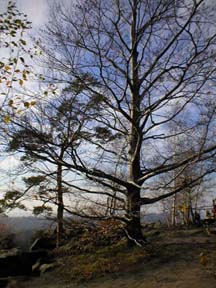 Herbststimmung am Carolafelsen