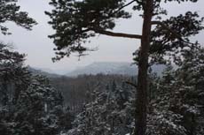 Blick Richtung Königstein