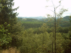 Blick Richtung Hinterhermsdorf