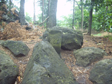 Forstgrenzstein auf dem Kleinen Pohlshorn