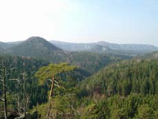 Blick zum Heulenberg und den Lorenzsteinen