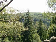 Blick zum Großen Winterberg