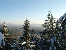 Lindigtblick auf den Mehlsäcken