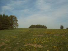 Blick zum Napoleonstein