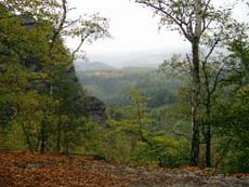 Blick in den Rauschengrund