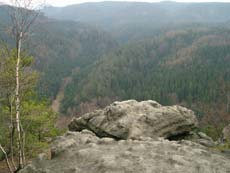 Blick in den Großen Zschand in Richtung Grenze