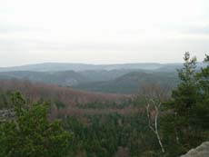 Blick über das Kirnitzschtal