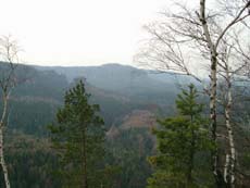 Blick in den Großen Zschand in Richtung Neumannmühle