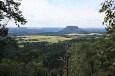 Blick zum Lilienstein