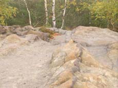 Brauneisenbänder am Aussichtspunkt Fluchtwand