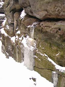 Felsquelle an der Schwedenhöhle auf dem Gohrisch