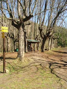 Blick in den Biergarten der Kirnitzschschenke