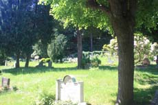 Blick auf den neuen Friedhof