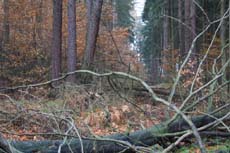 Der Weg zur Hütte ist heute verbaut.