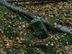 Forstgrenzstein in der Richterschlucht