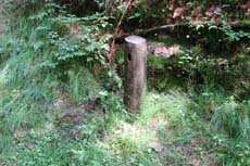 Die Z&auml;hlvorrichtungen sind unscheinbar in einem pr&auml;parierten Holzstamm versteckt.