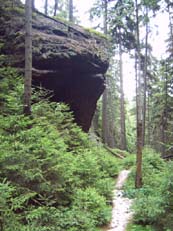 Der Weg durch die Bärenfangwände