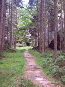 Auf dem Weg zur Grotte