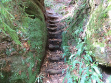 Kleine Stiege auf dem Weg zur Sommerwand