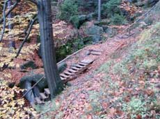 Stiege in der Richterschlucht am Abzweig Goldsteig