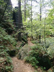 Oben schlängelt sich der Bergsteig zwischen Felsen.