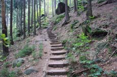 Erste Stufen nach dem Elbleitenweg