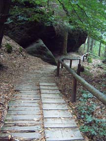 Die Dachshöhle