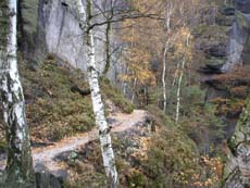 Gleich kommt die beste Stelle der Stiege.