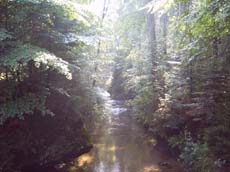 Die Stiege endet an der Kirnitzsch.