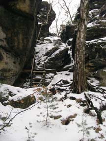 leichter Aufstieg am Gohrisch (auch wintergeeignet)