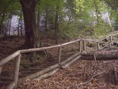 Kurz vor der Hickelhöhle