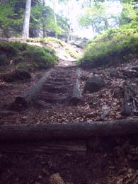 Das älteste Stück der Stiege