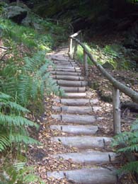 Gut ausgebautes Stück der Stiege