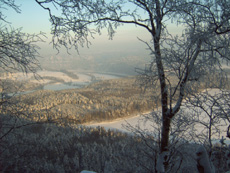 Eine kleine Aussicht in Richtung Rathen