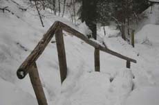 Stiege in der Richterschlucht am Abzweig Goldsteig