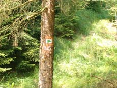 Abzweig vom Elbleitenweg zur Rotkehlchenstiege