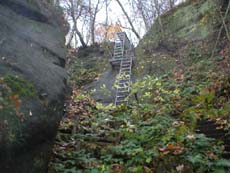 Die letzten Meter bis zum Schrammsteingratweg