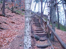 Der untere Teil der Stiege ist noch einfach.