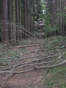 Weg zur Katzsteinhütte