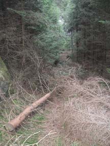 Schwarze Schlucht (unten)