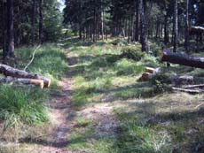 Grenzweg, aufgenommen August 2007