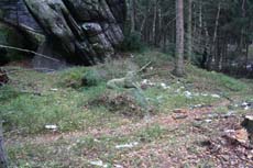 Der Löwe ist in einer markanten Kurve eigentlich nicht zu übersehen.