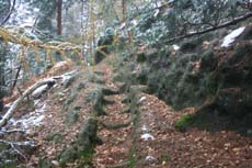 ...alte Stufen...