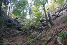 Erstes Steilst&uuml;ck