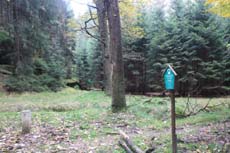 Endlich im Gro&szlig;en Zschand