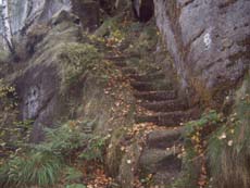 Die ersten Stufen...