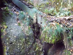 Ob die Leiter noch h&auml;t?