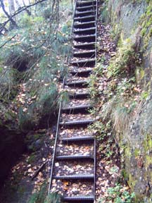 Sieht noch ganz solide aus, irgendwie so im Wald