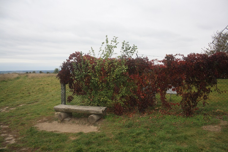 Die Säule steht hinter dem Zaun und der Hecke.